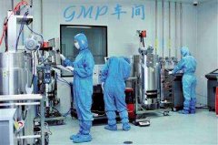 什么是gmp车间？